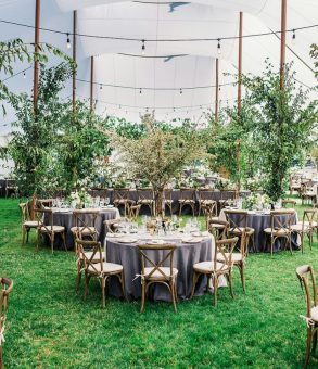 Reception Settings