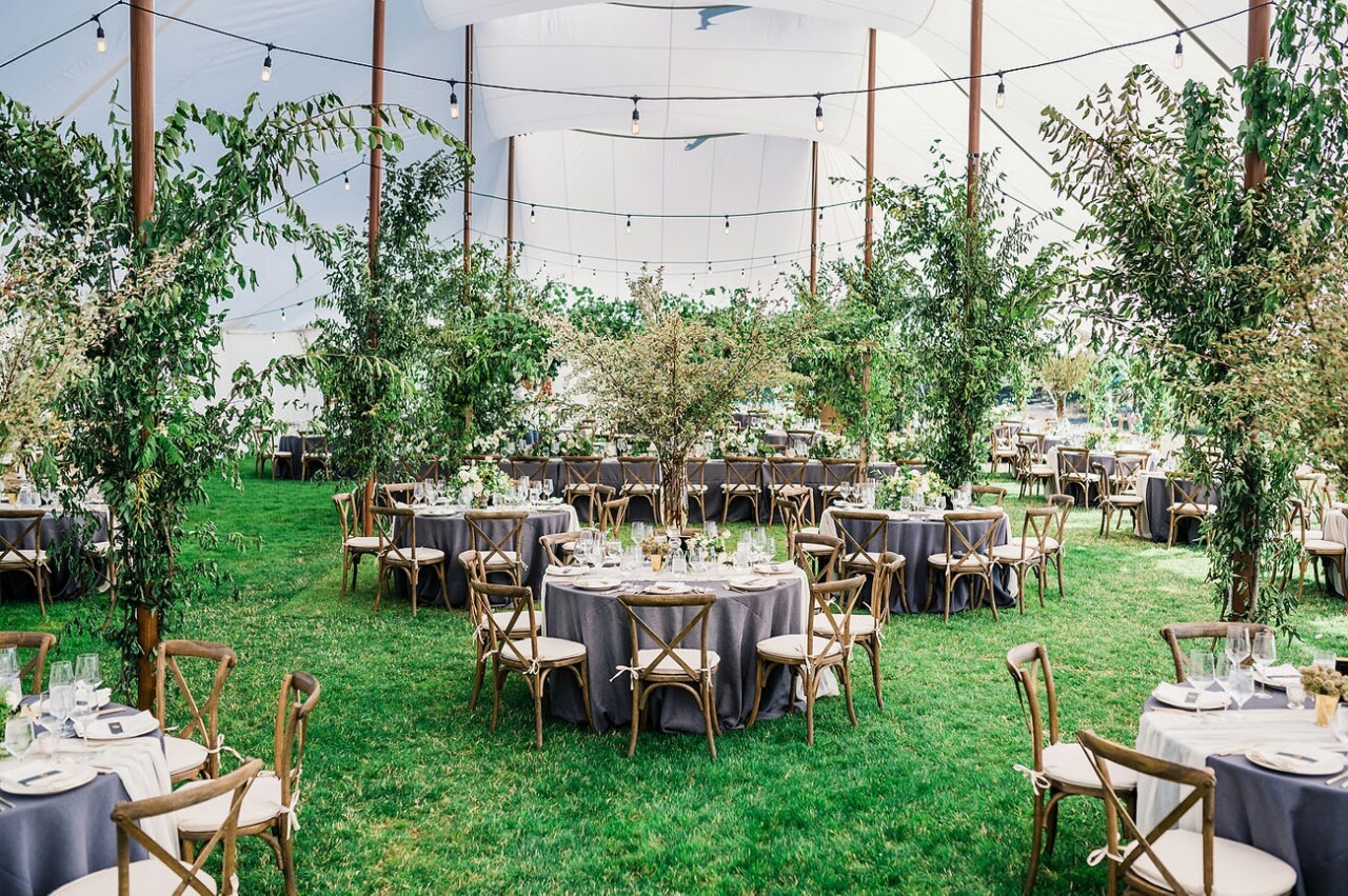 Reception Settings